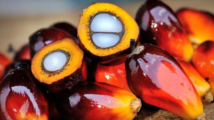 n-Ojon ojon oil nano haircare ingredient