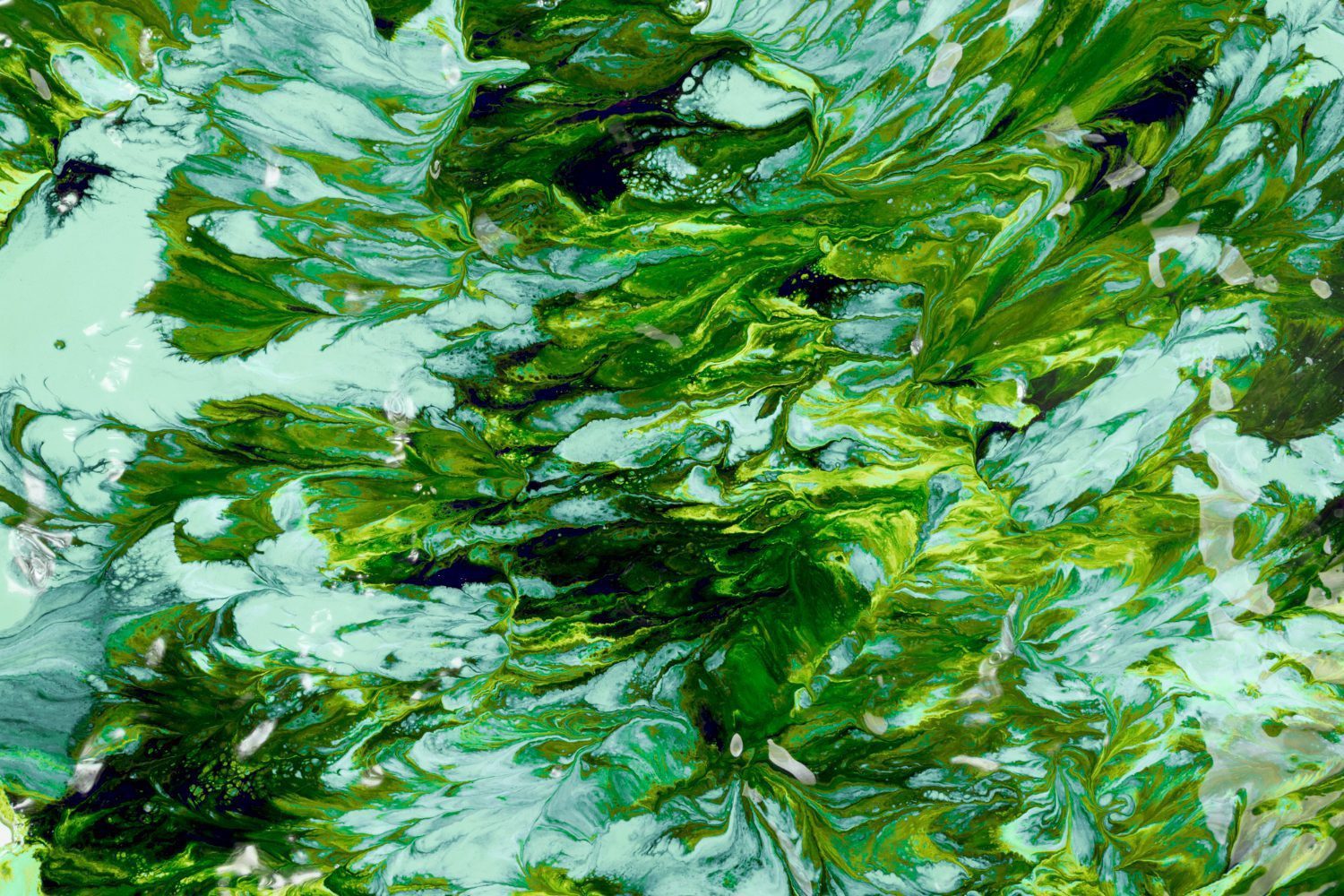 Marine polysaccharides such as fucoidan laminarin and ulvan for skin hydration
