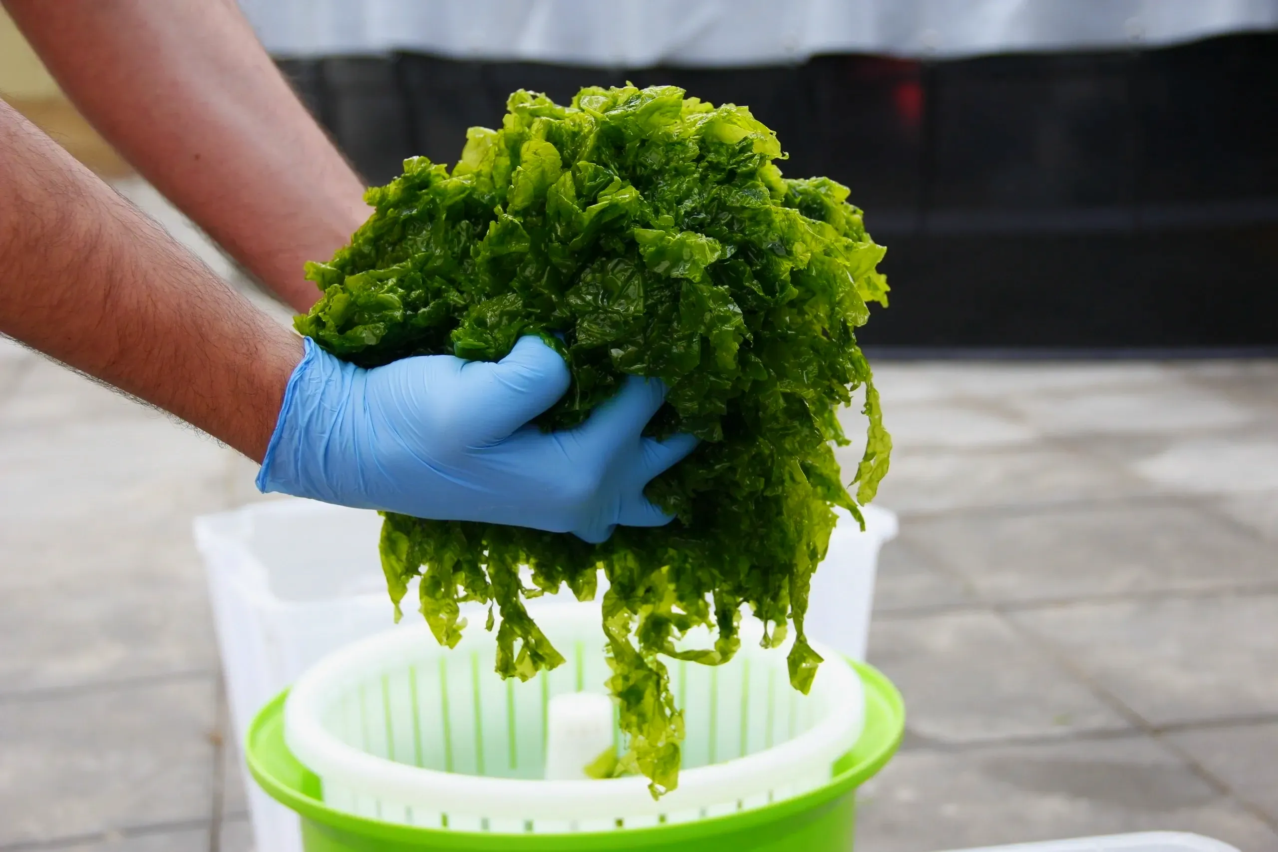 waterless anhydrous and powder skincare technologies