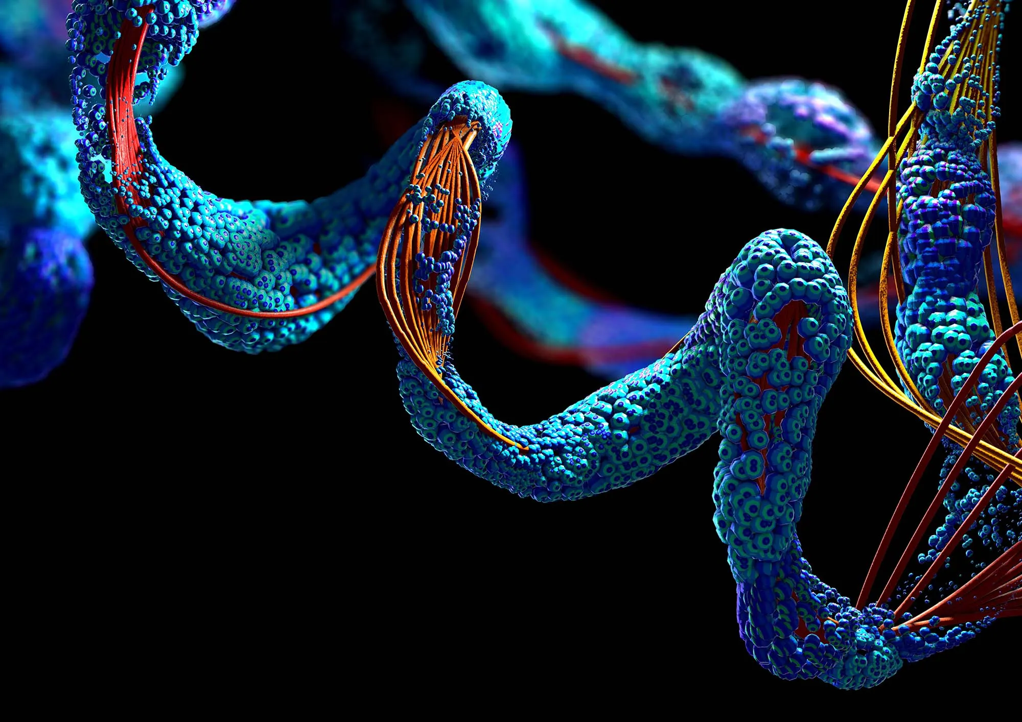 Bioactive Peptide Systems