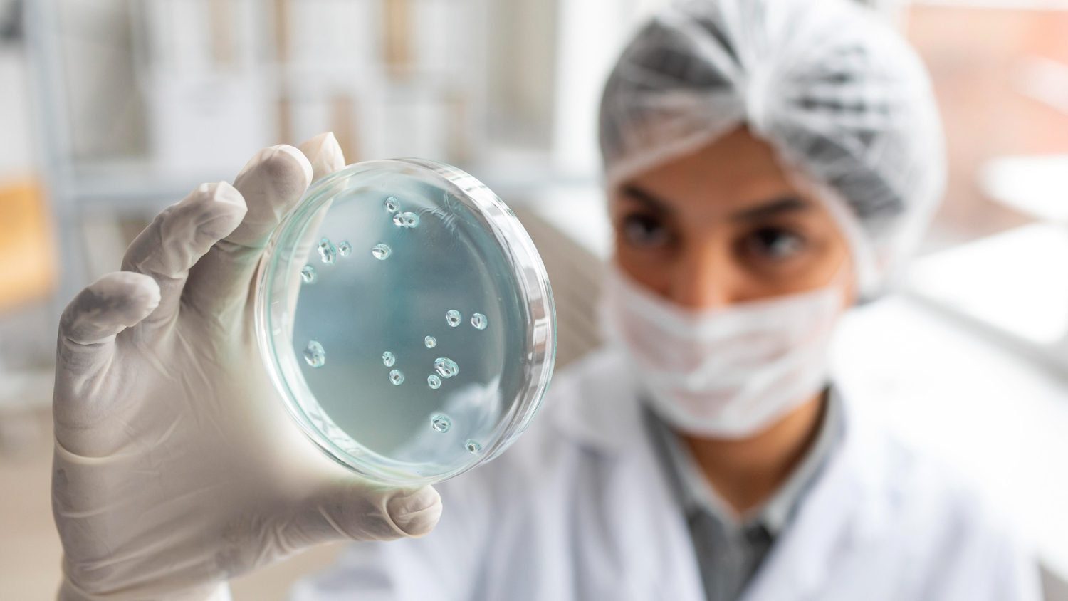 fermented proteostasis support actives for skin renewal