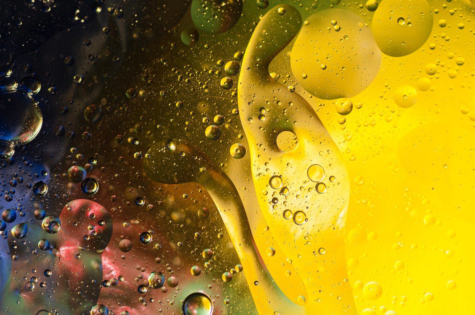 Oil and water emulsion designed for low-pH emulsification systems