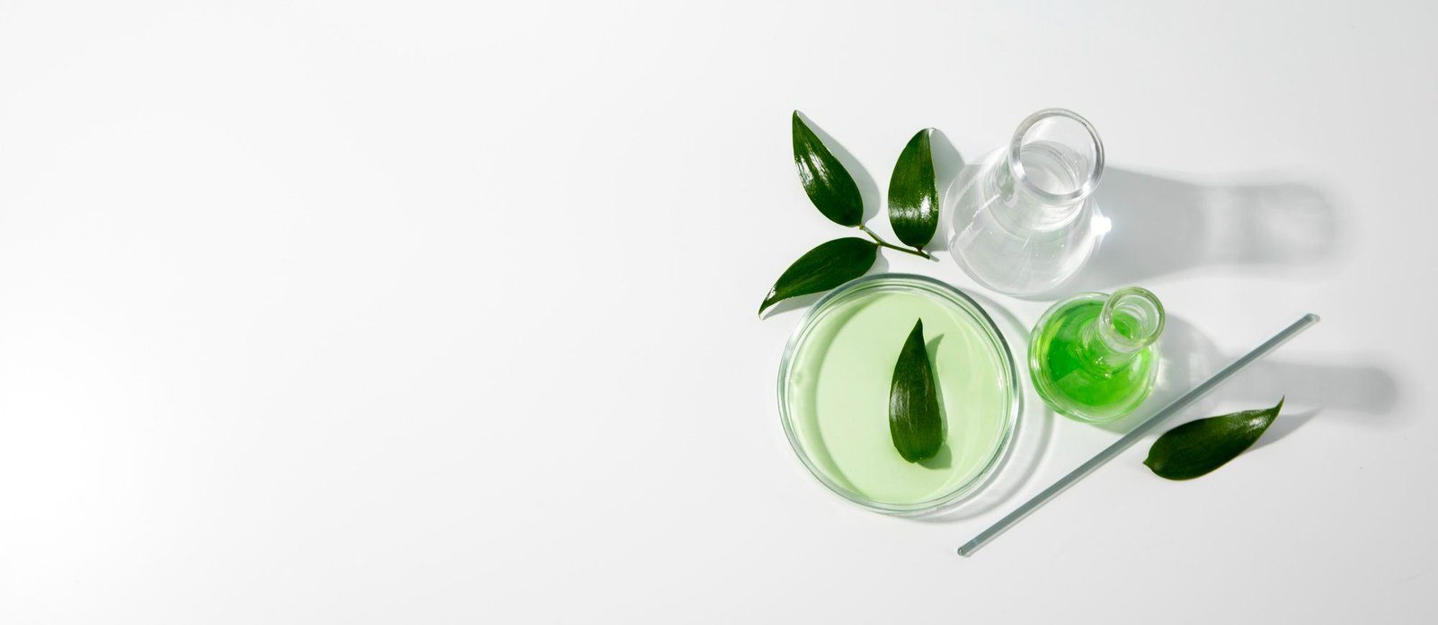 Silicone alternatives demonstrating wetting, spreading, and sensory performance on skin for cosmetic formulation development.