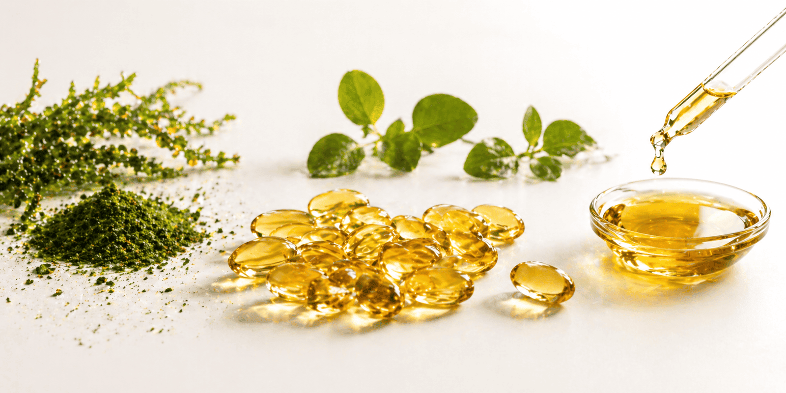 vegan omega 3 microalgae oil rich in dha for brain skin and heart support